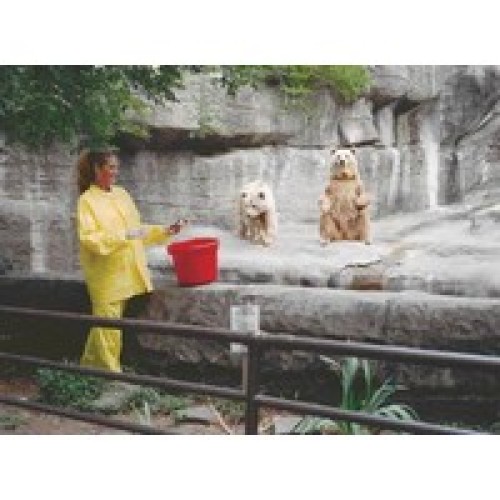 River City Rainwear Co O503XL River City Rainwear X-Large Yellow Zodiac .10 mm PVC Rain Suit With Welded Seams, Snap Front Closu