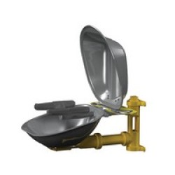 Bradley Corporation S19224DCFW Bradley Wall Mounted Eye-Face Wash With Stainless Steel Bowl And Dust Cover