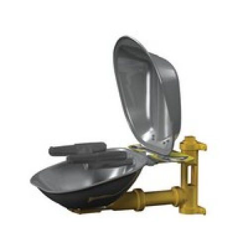 Bradley Corporation S19224DCFW Bradley Wall Mounted Eye-Face Wash With Stainless Steel Bowl And Dust Cover