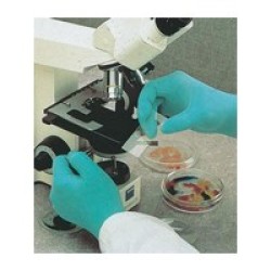 SHOWA Best Glove 1005L SHOWA Best Glove Large Green 9.5